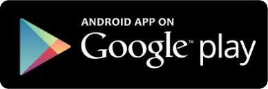 Google Mobile App